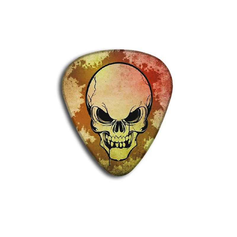 Beispiel für einen Plektrum aus dem 10er-Set Plektren mit Totenkopfmotiven