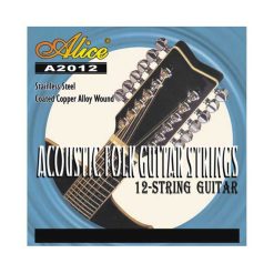 Avant Akustikgitarre mit 12 Saiten - Hervorragende Resonanz, brillanter Klang und reiche Harmonien