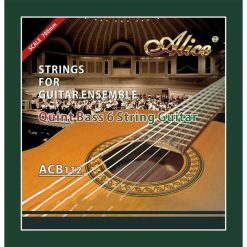 Klassische Gitarrensaiten für Ensembles - Quinte Bass Gitarrensaite