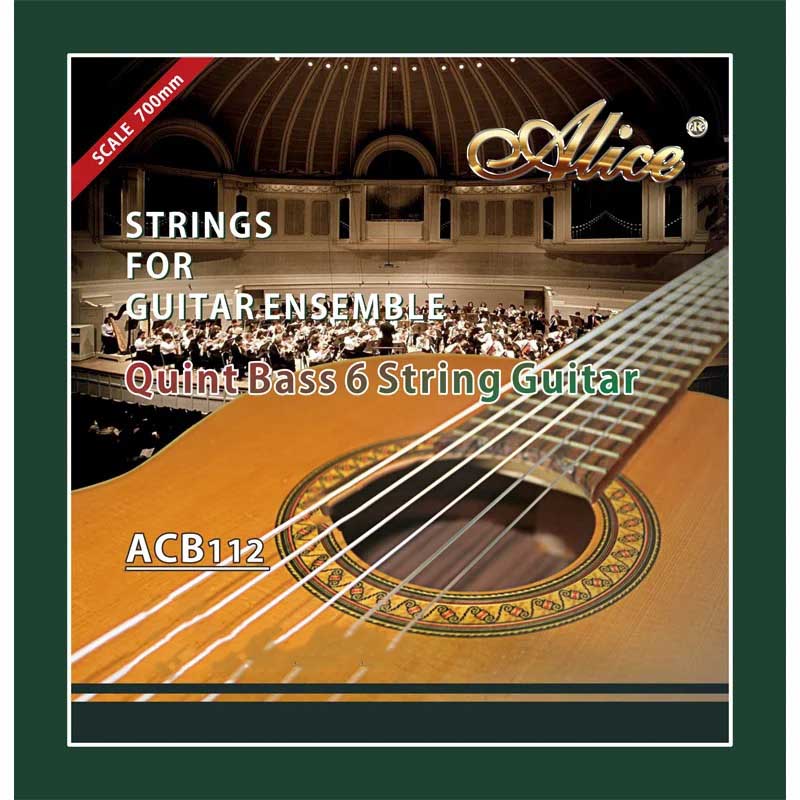 Klassische Gitarrensaiten für Ensembles - Quinte Bass Gitarrensaite