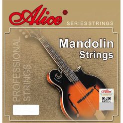Mandolinensaiten - Ideal für das Lernen