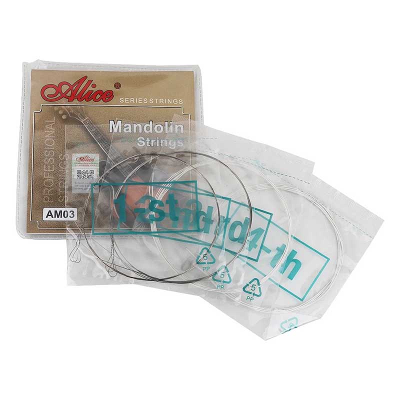 Detaillierte Ansicht von Mandolinensaiten - Ideal für das Lernen